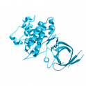 Recombinant, human, Glycogen synthase kinase-3 beta (GSK3-beta), protein kinase domain, GST-HIS6 Tag, 10 µg