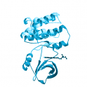 Recombinant human Interleukin-2-inducible T-cell kinase (ITK), protein kinase, 10 µg