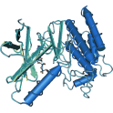 Recombinant human focal adhesion kinase (FAK), protein kinase, 10 µg