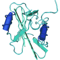 Recombinant, human Platelet-derived growth factor receptor alpha (PDGFRa), protein kinase domain, 10 µg