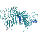Recombinant human ERBB2 (HER2, HER-2), protein kinase domain, 10 µg