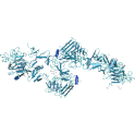 Recombinant, human receptor tyrosine-protein kinase ERBB4 (Her4), kinase domain, 10 µg
