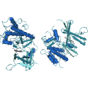Recombinant human biotinylated ERK2 (p42, MAPK1), protein kinase, unactive, 5 µg