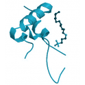 Recombinant Human IGF-I Protein, 100µg