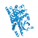 Recombinant human Mammalian STE20-like protein kinase 2 (MST2), 10 µg
