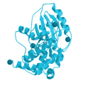 Recombinant human Mammalian STE20-like protein kinase 4 (MST4), 10 µg