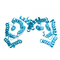 Recombinant human Protein kinase C (PKC) epsilon, 10 µg